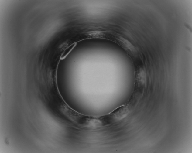 X0000097660572200803071535