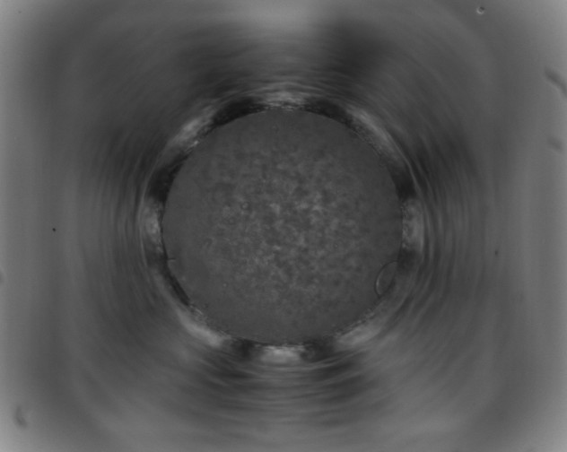 X0000097660573200803071535