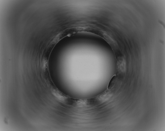 X0000097660574200803071535