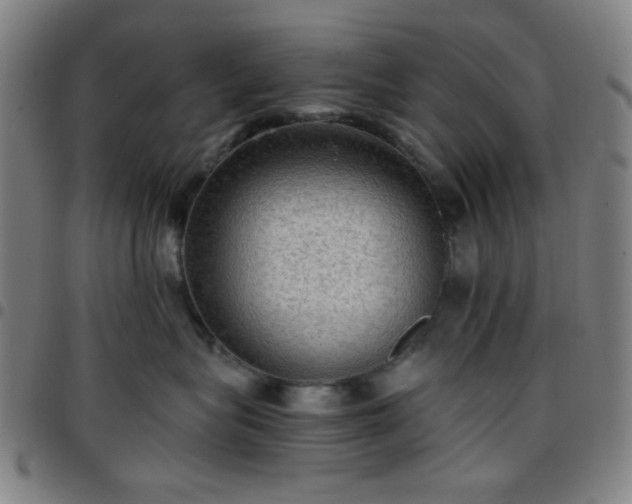 X0000097660575200803071535