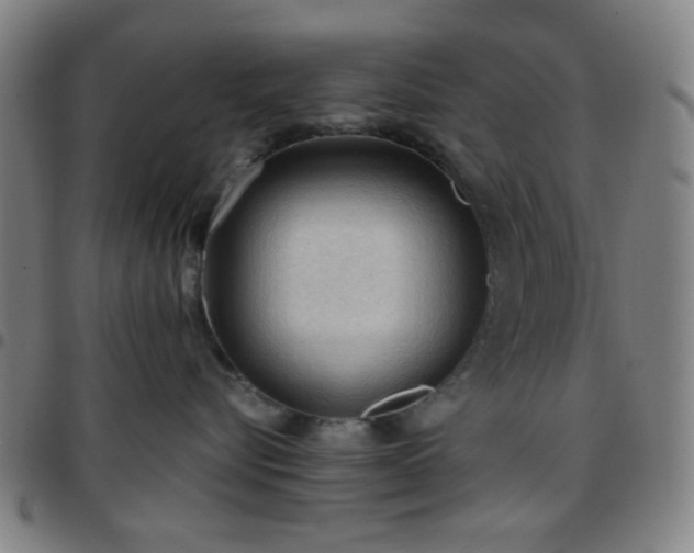 X0000097660576200803071535