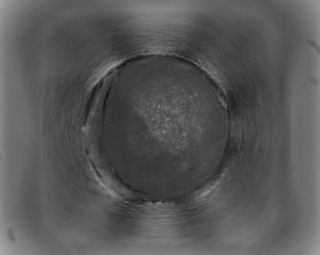 X0000097660577200803071534