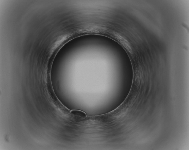 X0000097660578200803071534