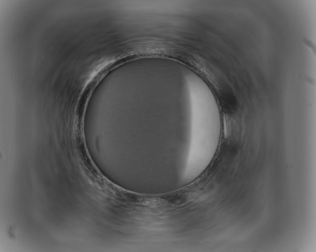 X0000097660579200803071534