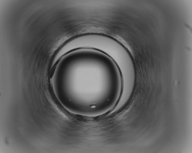 X0000097660581200803071534