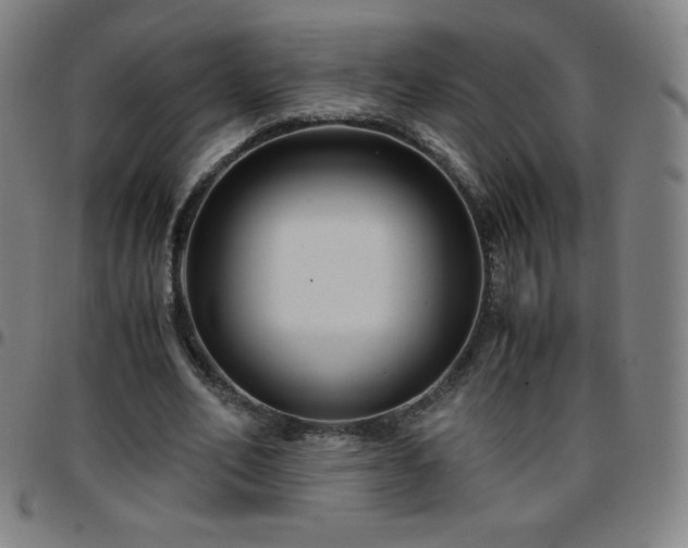 X0000097660582200803071534