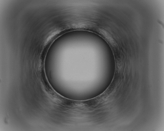 X0000097660583200803071534