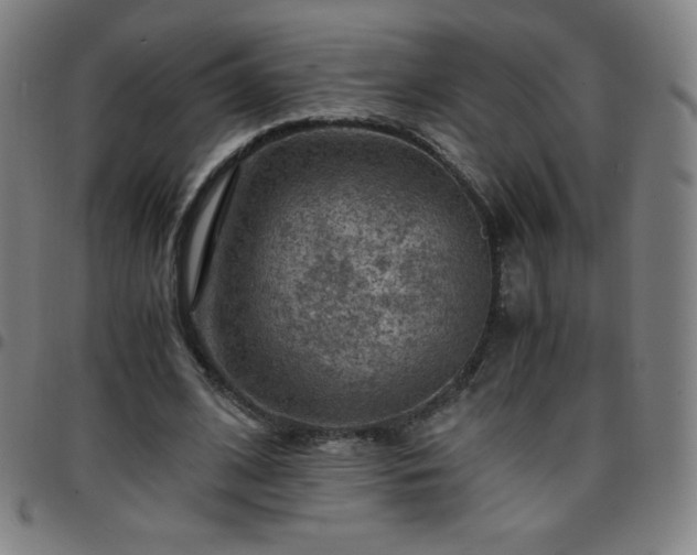 X0000097660584200803071534