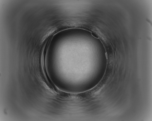 X0000097660585200803071534