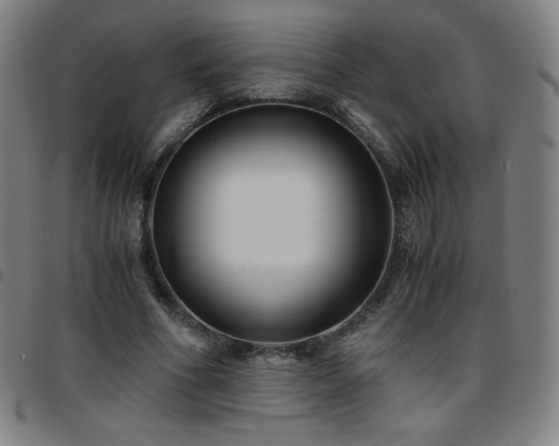 X0000097660586200803071534