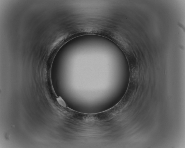X0000097660587200803071534