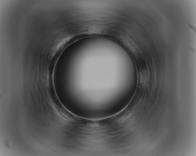 X0000097660588200803071534