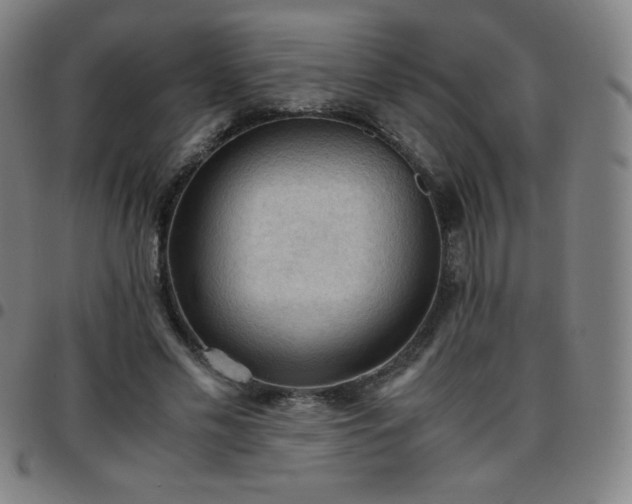 X0000097660589200803071534