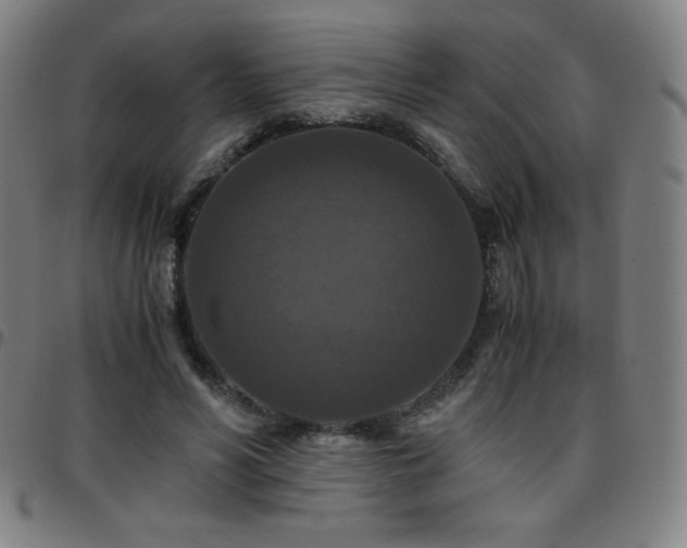 X0000097660590200803071534