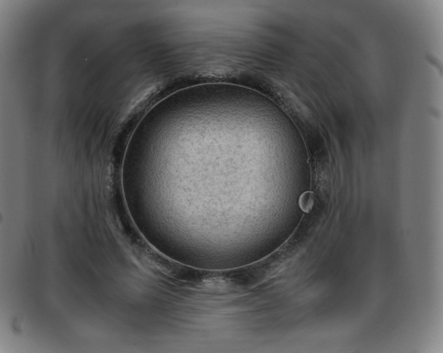 X0000097660591200803071534