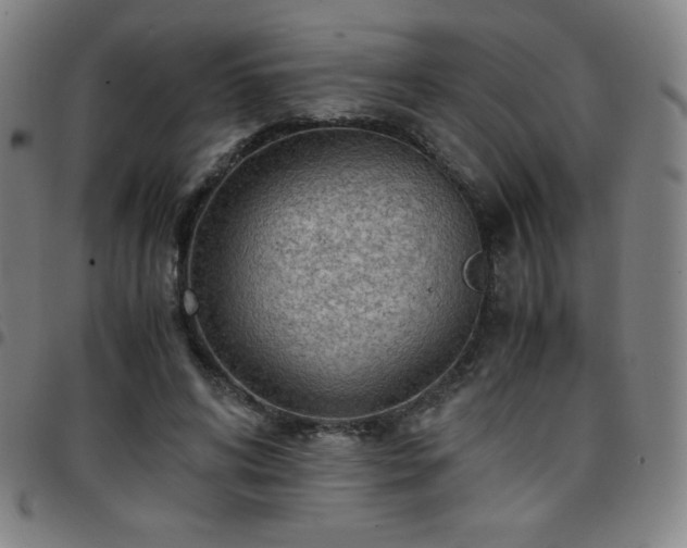 X0000097660592200803071534
