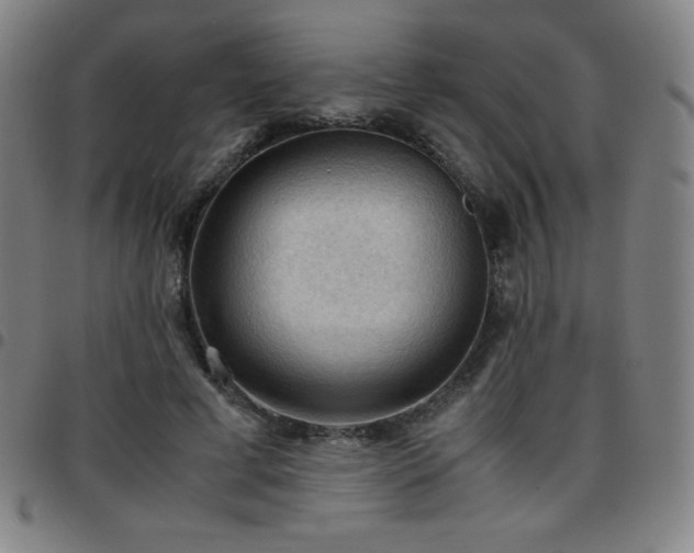 X0000097660593200803071534