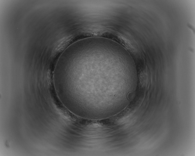 X0000097660594200803071534