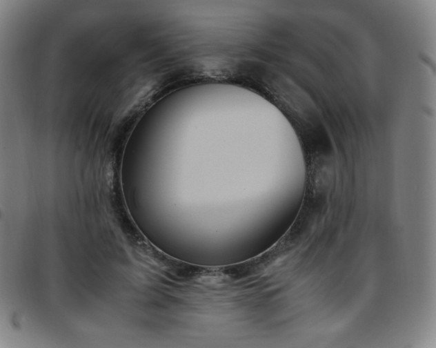 X0000097660595200803071534