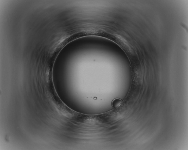 X0000097660596200803071534