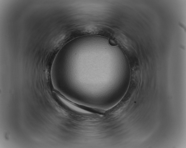 X0000097660597200803071534