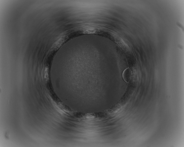 X0000097660598200803071534