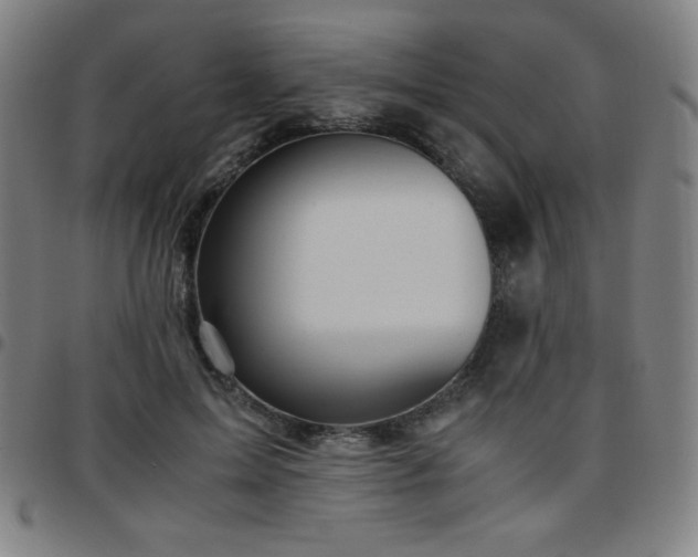 X0000097660599200803071534