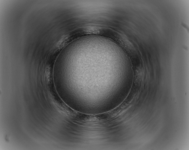 X0000097660600200803071534