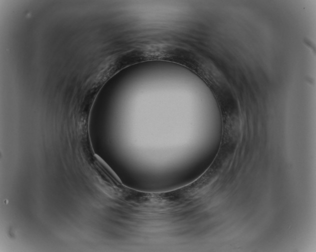 X0000097660601200803071534