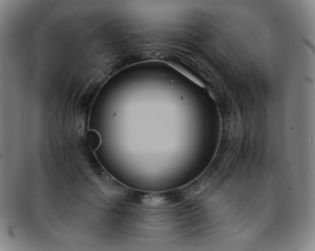 X0000097660602200803071534