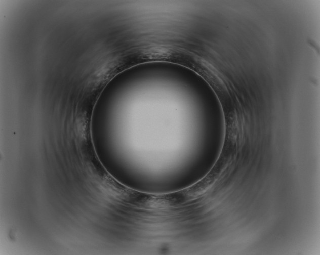 X0000097660604200803071534