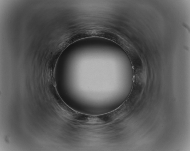 X0000097660605200803071534