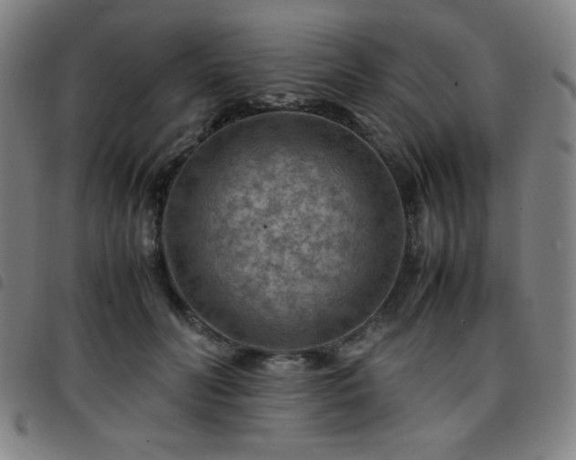X0000097660606200803071534
