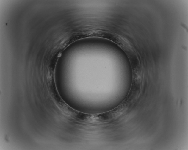 X0000097660607200803071534