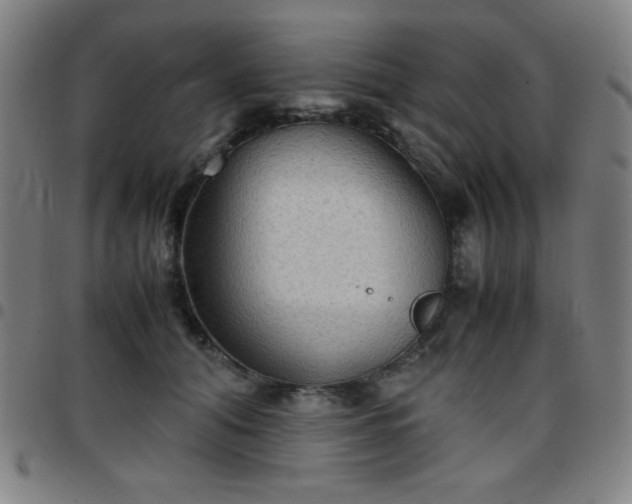 X0000097660608200803071534