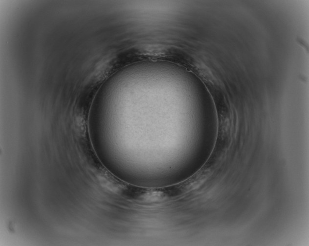 X0000097660609200803071534
