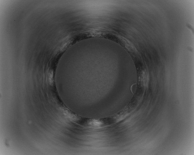 X0000097660610200803071534