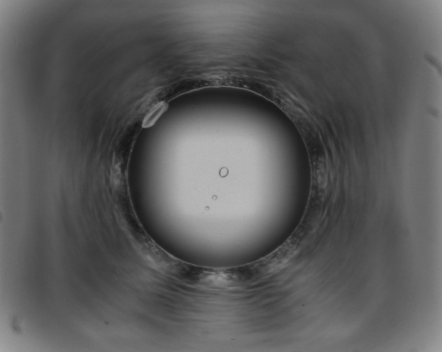 X0000097660611200803071534