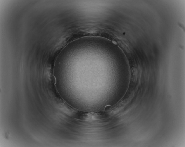X0000097660612200803071534