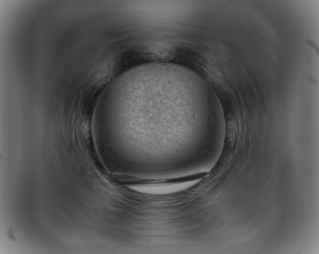 X0000097660613200803071534
