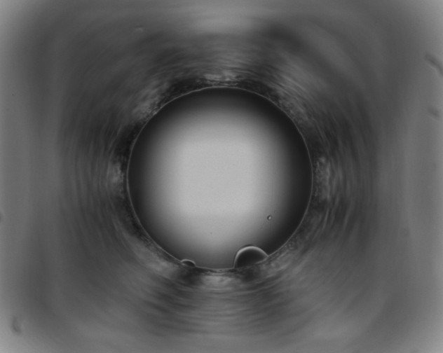 X0000097660614200803071534
