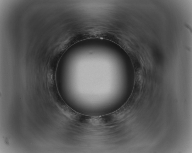 X0000097660615200803071534