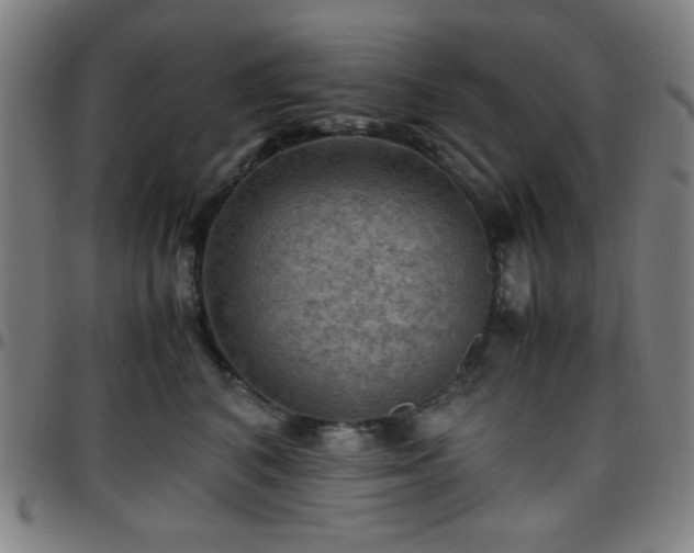X0000097660616200803071534