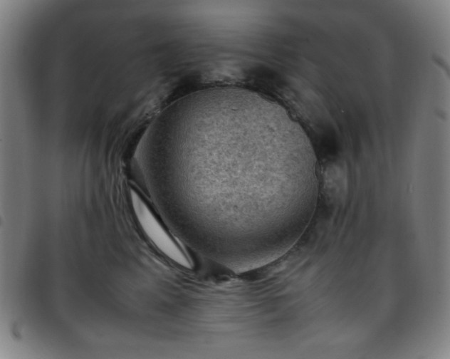 X0000097660617200803071534