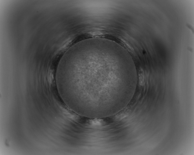 X0000097660618200803071534