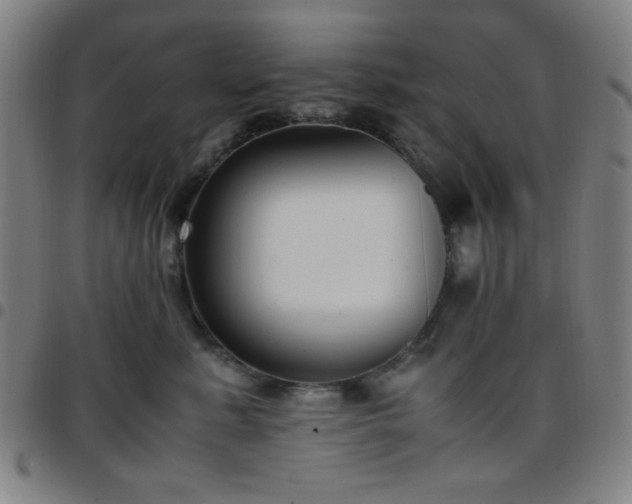 X0000097660619200803071533