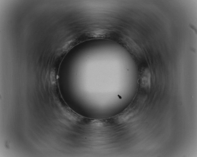 X0000097660620200803071533