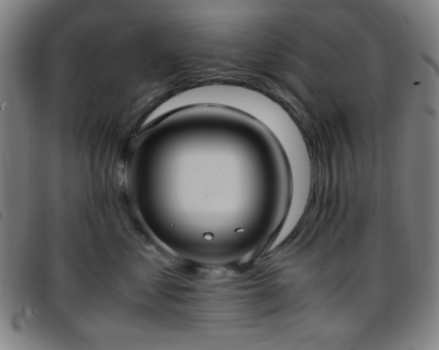 X0000097660621200803071533