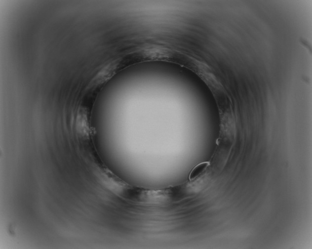 X0000097660622200803071533