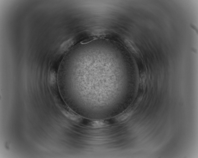 X0000097660623200803071533